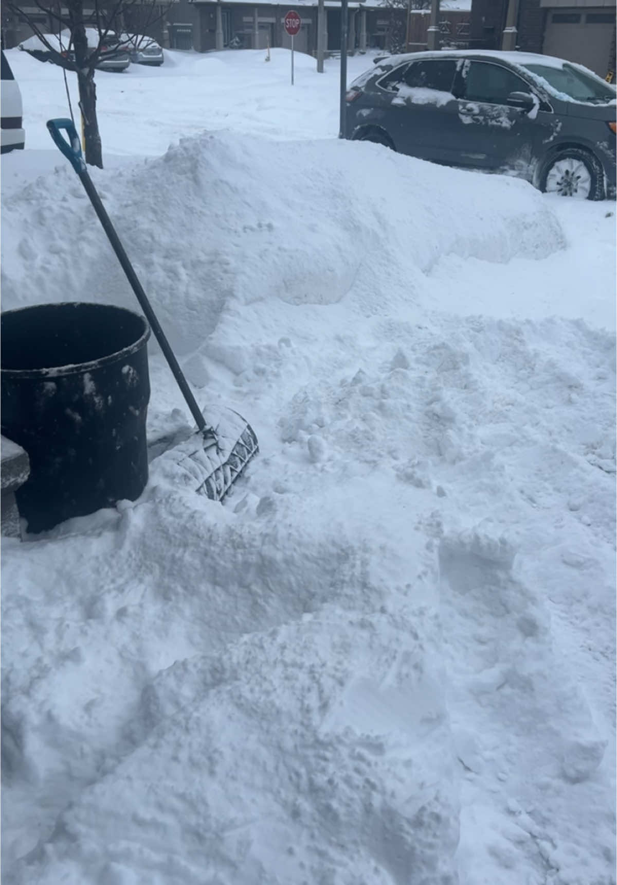 A post by @drlamouss on TikTok caption: C’est dosé!!  Hiver 2025 Ottawa !