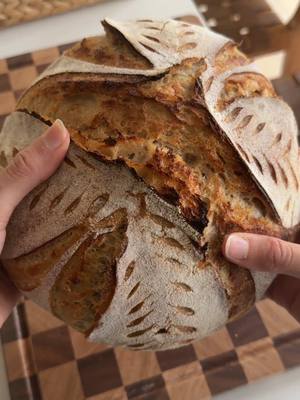 A post by @moribyan on TikTok caption: my first sourdough loaf reveal 😅 definitely underproofed and burnt a little on the top but the next one will be better!