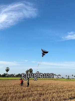 A post by @sopheara.kite on TikTok caption: #ខ្លែងឯកខ្មែរ🇰🇭🇰🇭 #ខ្លែងឯកខ្មែរយេីងពីបុរាណ🇰🇭 #ព្រៃវែងផ្ទះខ្ញុំ 