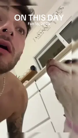 A post by @animal.reunion on TikTok caption: #onthisday