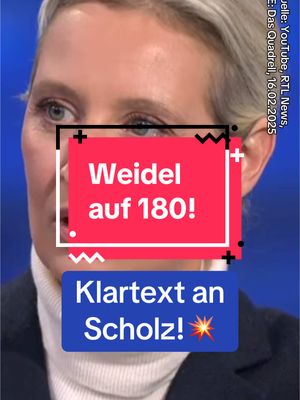 A post by @politikbeben on TikTok caption: Hat Weidel Recht?#explore #viral #afd #foryou #weidel 