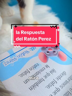 A post by @tommyelgatomono on TikTok caption: Después de varios días de espera el Ratón perez Responde a  Happy , con un ratón falso de Catnip #gatos #michis #gato 