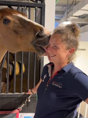 A post by @joe_stockdale on TikTok caption: All the love from Santi to Charlotte 😁 #joestockdale #Jumping #showjumping #teamstockdale #Equestrian #funny #horses #equine #horse 