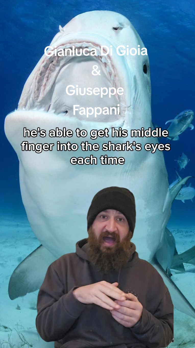 A post by @thewanderingbeard2.0 on TikTok caption: On December 22nd 2024, a birthday celebration for a group of Italian tourists would turn into an absolute nightmare. Note: Forgive my pronunciation of the names, I tried to look up how to say it properly but its all bot pronunciations of the names so I just did my best. No diaresepect intended. #animal #attack #horror #truecrime #truestory #ocean #CapCut #egyptsharkattack #shark #tigershark 