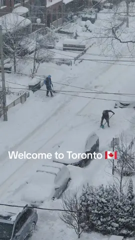 A post by @ritacanada on TikTok caption: #canada_life🇨🇦 #canadatiktok #toronto 