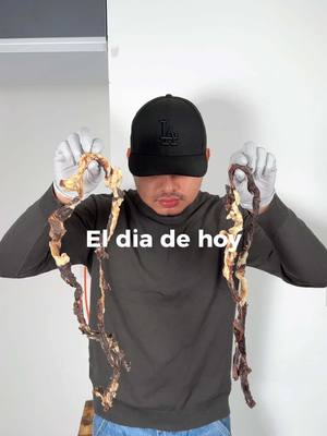 A post by @pakoyaso_ on TikTok caption: ¡Como preparar frijol con tasajo! #frijolcontasajo #frijol #chiapas #pakoyaso 