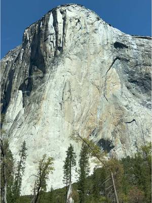 A post by @emily_holler on TikTok caption: Yosemite 🫶🏻🌲🥾🏔️ #nationalpark 