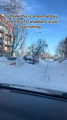 A post by @ on TikTok caption: Snowstorm Montreal #fyp #viralvideo #montreal 