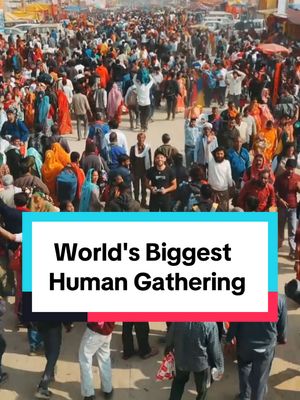 A post by @nasdaily on TikTok caption: World's Biggest Human Gathering  This festival only happens once every century, and I got to see it with my own eyes!  Welcome to Mahakumbh Mela. Thanks to Adani Group for making it happen. #SevaHiSaadhnaHai 