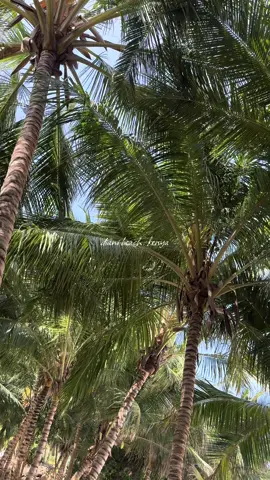 A post by @bellasherbourne on TikTok
