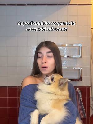 A post by @imsaralarusca on TikTok caption: il mio pomchii