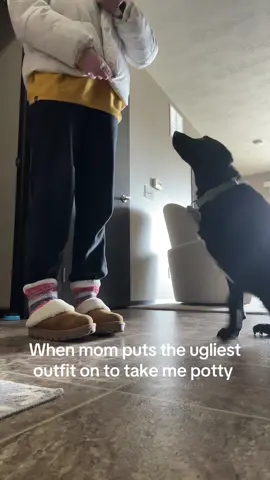 A post by @paigehoesing on TikTok