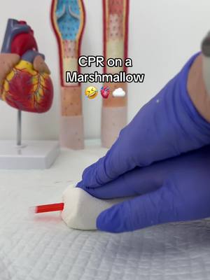 A post by @nurseinthemakingkristine on TikTok caption: CPR demo… on a marshmallow 👀💭 #CPR #NursingStudent #FutureNurse #NursingSchool #BLS #NurseLife