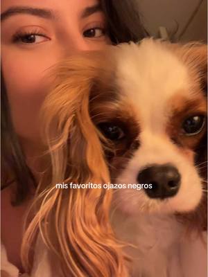 A post by @coquettecavalier on TikTok