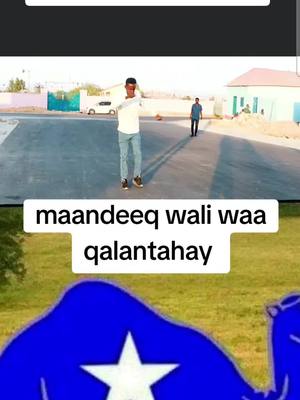 A post by @daljir_ltd on TikTok caption: 1991 saan u seexanay wali waa hurudnaa🇸🇴🇸🇴🇸🇴
