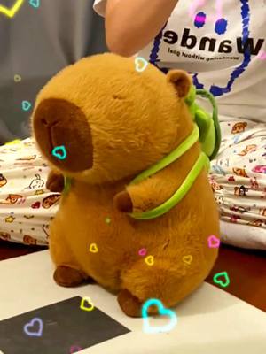 A post by @pet429 on TikTok caption: #CapCut reading book#doll  #cutetoys #capybara #foryou 