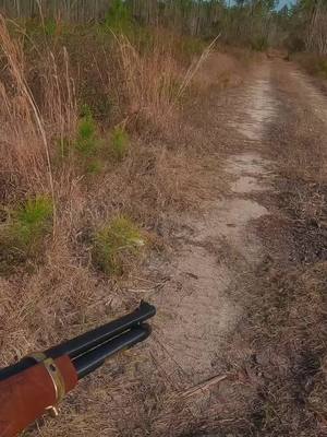 A post by @guerrillaoutdoors on TikTok caption: Henry 45-70 #henry #gun #guns #fyp #foryou #shoot #county #follow #guerrillaoutdoors #makemefamous 