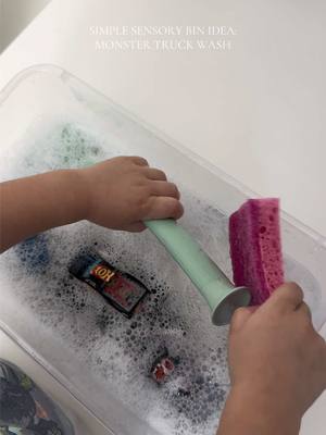 A post by @alexa.nicholee on TikTok caption: Quick and easy sensory bin idea!  Grab some sponges and brushes and throw in your kiddos favorite kind of toys to wash. Monster trucks, animals, dinosaurs, etc! 🫧 #sensoryactivities #sensorybin #toddleractivities #preschoolactivities #preschoolathome #screenfreeplay 