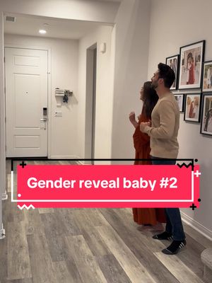 A post by @sapphie_the_pomsky on TikTok caption: Gender reveal featuring our dog 💕💙 #dogs #dogsoftiktok #gender #genderreveal #baby #pregnancy #fyp 