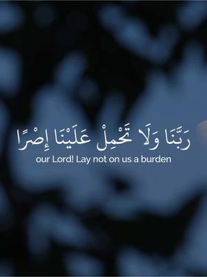 A post by @abo.3aid on TikTok caption: عبدالرحمن مُسعد || قناة القران وحساب الانستا بالبايو فيهم شرح التصاميم || #قران #quran سورة البقرة • لا يكلف الله نفسًا إلا وسعها 