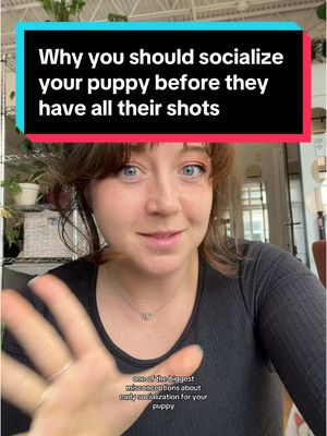 A post by @taylorcezanne on TikTok caption: Don’t wait to do this! Pick them up and take them places ASAP! #newpuppy #puppytraining #socializeyourdog #puppyshots 