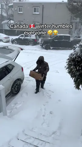 A post by @ on TikTok caption: Not for the faint of hearts #fyp #viralvideo #snow 