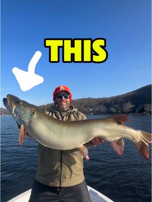 A post by @dkamfishing on TikTok caption: This is why I fish solo 😂 (beginner’s luck = possible state record musky) #fishing #fishtok #foryou #fyp 