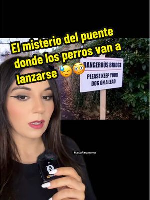 A post by @marijoparanormal on TikTok caption: Un fenómeno terrible ocurre en Escocia, por alguna razón escalofriante los perros entran en algún tipo de trance y deciden aventarse de este puente, algunos encontrando su 💀😓 #escocia #puente #fenomeno #fantasmas #sobrenatural #misterio #misteriosinresolver #marijoparanormal 