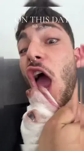 A post by @animal.reunion on TikTok caption: #onthisday