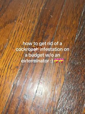 A post by @khalietheflowergirl on TikTok caption: i get this question a lot and since i’m dealing with it again, i thought i’d share how im handling it!! #advice #viral #trending #roach #cockroaches #nasty #roachinfestation #CleanTok #help #howto #roaches #infestation #viral #trending 