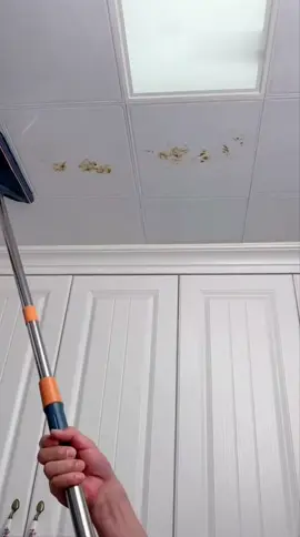 A post by @leitkdtinxv on TikTok caption: STILLCOOL Long Handle Wall Cleaner Adjustable Length Wall Mop 360° Spinning Head Floor Wall Washing Cleaning Tool for Walls Ceiling Fans Floors Baseboards Dust Kitchen General Purpose, Holiday Thorough Cleaning