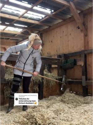 A post by @annaroediger on TikTok caption: Antwort auf @SiskaSunny Selbstversorger Pferdestall 🐴#pferd #offenstall #equestrian #pferdemädchen 