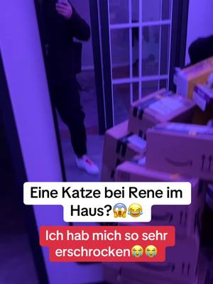 A post by @kevinschmock on TikTok caption: Die Katze hat mich so erschrocken😨(SchautInMeineProfilBeschreibung) #göttingen 