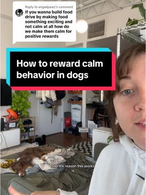 A post by @taylorcezanne on TikTok caption: Replying to @angwlpawz this is the easiest way to reward calm behavior! #puppylife #newpuppy #dogtraining101 #teachmydogtosettle #puppytiktok 