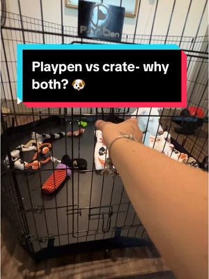 A post by @taylorcezanne on TikTok caption: Replying to @daalienprincess this is why I recommend both! let me know if this helps! 🐶❤️ #puppyplaypen #amazonpuppyfinds #newpuppy #cratetraining #puppydog  