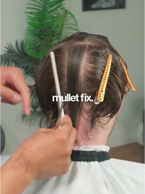 A post by @nvte2x on TikTok caption: Mullet fix & refresh 😮‍💨 - - In Vegas ? Link in bio to Book 📲 - - #fyp #lasvegas #vegas #lasvegasbarber #vegasbarber #mullet #taper 