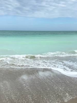 A post by @alliecheyswrld on TikTok caption: We found the cutest beach to stretch our legs on the way to Miami to get on our cruise 🌊🐚 That drive from Kentucky to Miami is no joke yall 😅 it whooped my butt #traveltok #familyvacation #livingthedream 