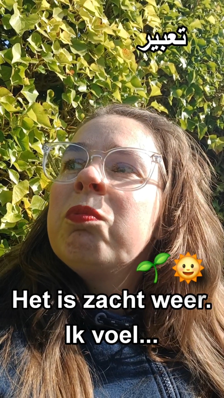 A post by @dutch_arabic_club on TikTok caption: #هولندا #تعلم #nederlands 