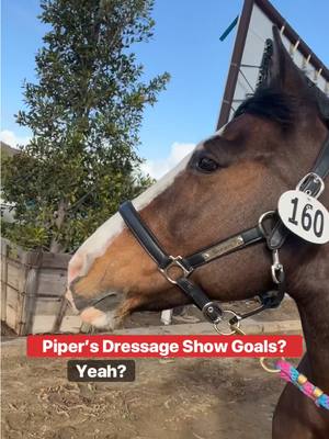 A post by @evans_world on TikTok caption: Many proud dad moments seeing Piper out at a dressage competition again. It’s on her if she felt embarrassed by me 😂🐴 #horsesandhumor #horse #pony #piperthepony 