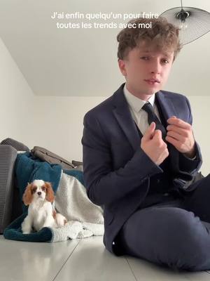 A post by @monsieurpof on TikTok caption: Je vous présente Pif 🐶