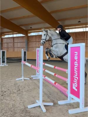 A post by @anja_fee on TikTok caption: Wie hoch springt ihr im Training ?👀 #springpferd #pferd #reiten #springstunde #springreiten 