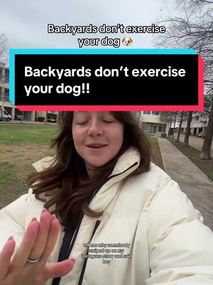 A post by @taylorcezanne on TikTok caption: Whats the best clap back to that?! 🤣 also follow me on ig taylorcezanne ❤️ #dogs 