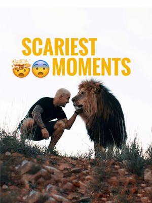 A post by @deanschneider.official on TikTok caption: FEBRUARY 23RD – LET’S GO! 🔥🦁 Last week’s stream was insane – and we’re keeping the momentum going! This Sunday, we’ll take a deep dive into the scariest moments and break them down in detail. Don’t miss it! 👀 Which moment shocked you the most? Drop your thoughts below! 👇🎤