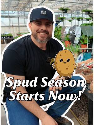 A post by @smithsgardentown on TikTok caption: 🥔 Time to Plant Potatoes! 🥔 Get your seed potatoes in the ground now for a great harvest! Cut, dry, and plant in loose soil—easy as that! 🌱 #smithsgardentown #growyourown #potatotime #gardeningseason #plantnow