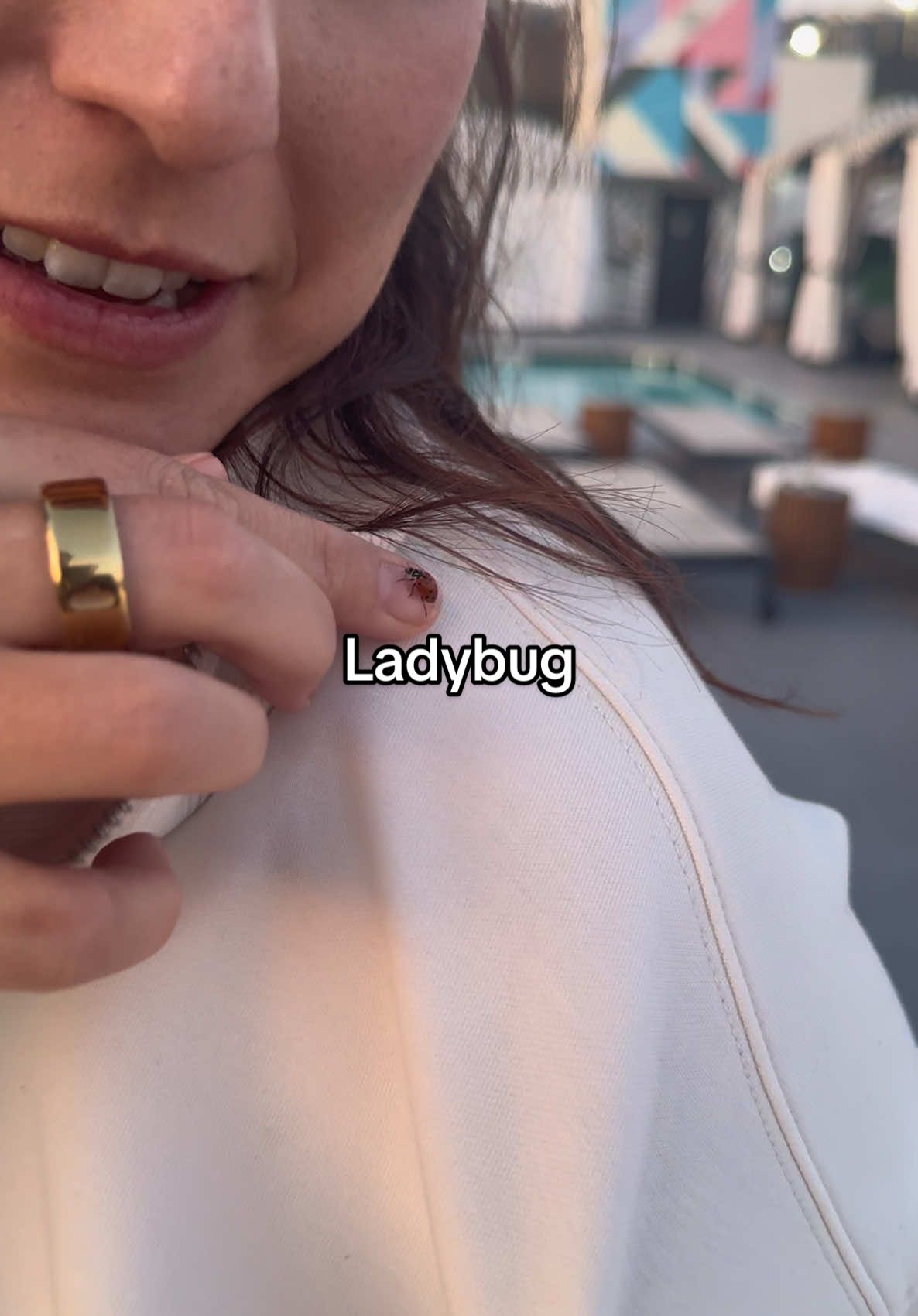 A post by @thekatiethurston on TikTok caption: A ladybug in LA? Telling myself it’s good luck. 