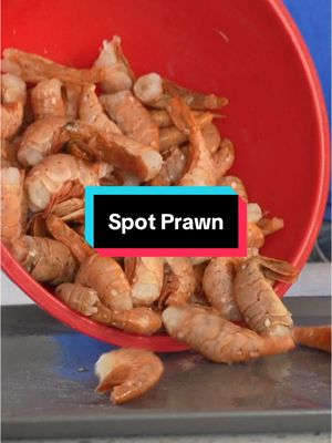 A post by @by_the_water on TikTok caption: I Tried Alaskan Spot Prawn #seafood #spotprawns #shrimp 