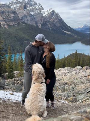 A post by @emily_holler on TikTok caption: In love with my little family 🥾🤍🐻🏔️🌲 comment your favorite thing to do in Alberta #Vlog #nationalpark #travelvlog #traveltiktok #fyp #beautifuldestinations #britishcolumbia #lakes #glacier  