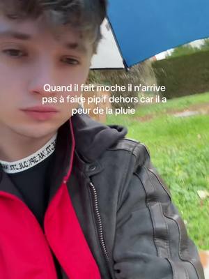 A post by @monsieurpof on TikTok caption: Trop poli pour faire pipi en même temps que le ciel 