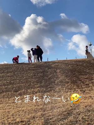 A post by @kanchan10140 on TikTok caption: #河川敷 #ダンボール 