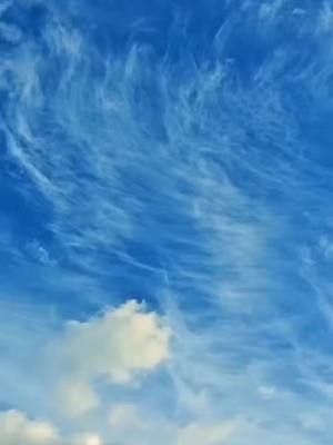 A post by @quran_alkarim.sourate on TikTok caption: Une minute pour écouter ce hadith #hadith #muslim #fracetiktok🇨🇵 #viralvideo #foryoupage #pourtoi 
